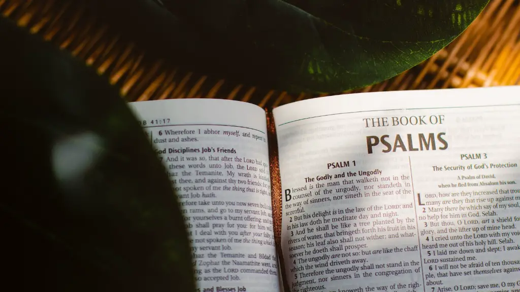 What Are Tares In The Bible