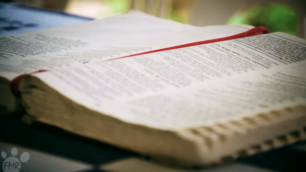 How Many Ananias In The Bible