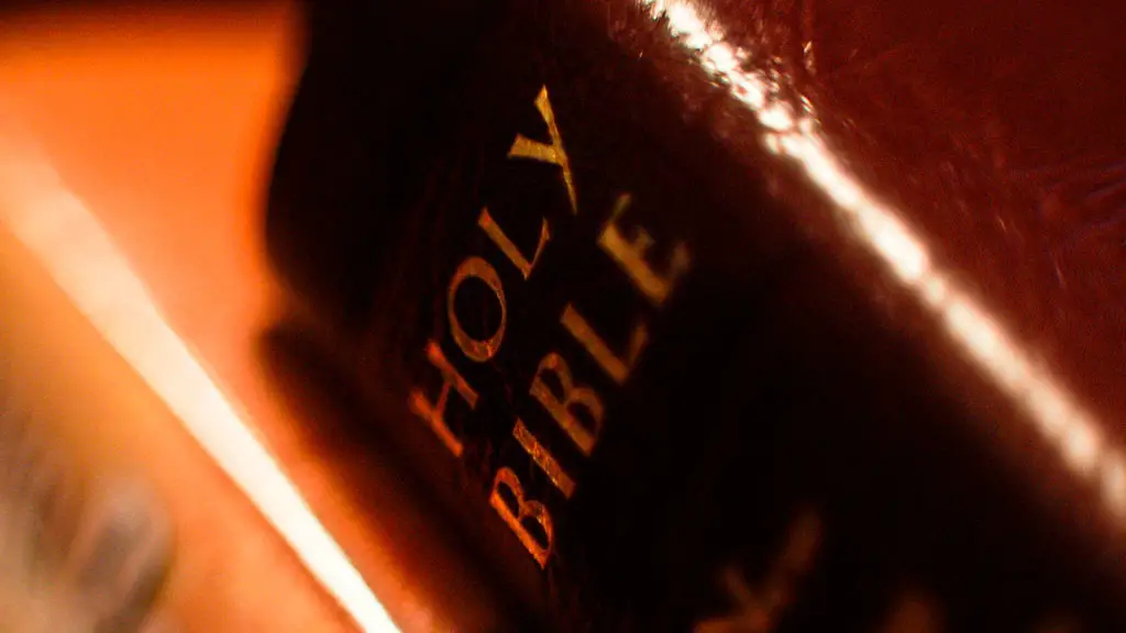 What chapter is noah’s ark in the bible?