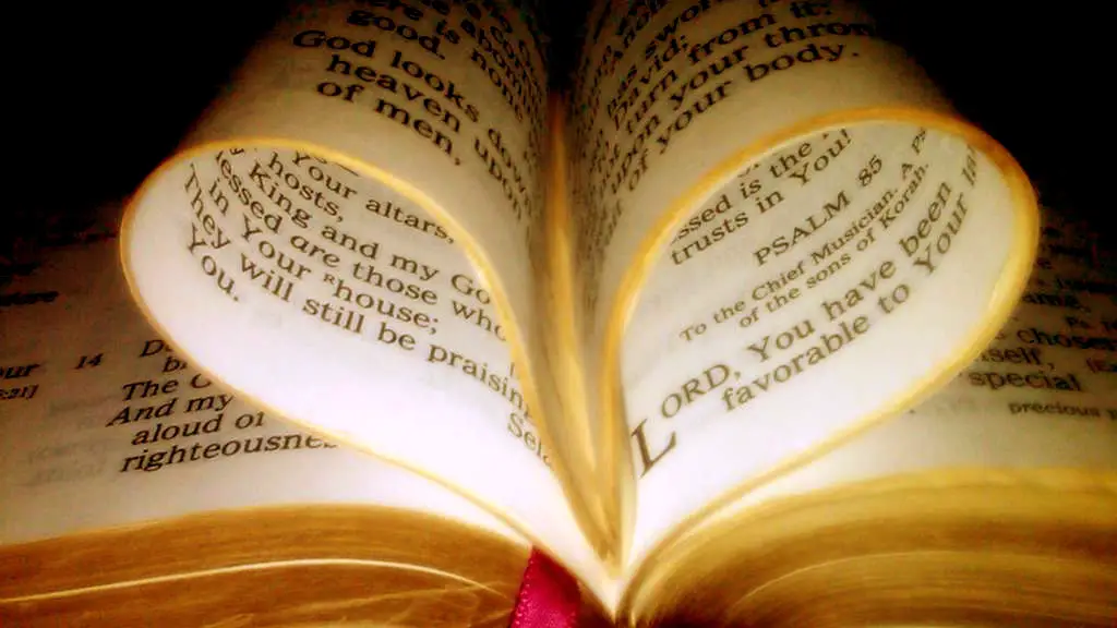 What Are The 7 Healing Oils In The Bible