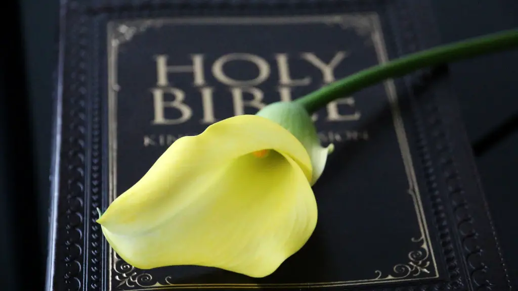 What Is Hope In The Bible