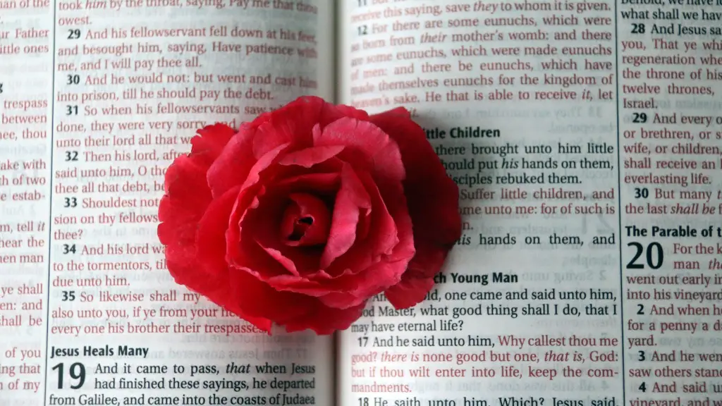 How many books is in the bible?
