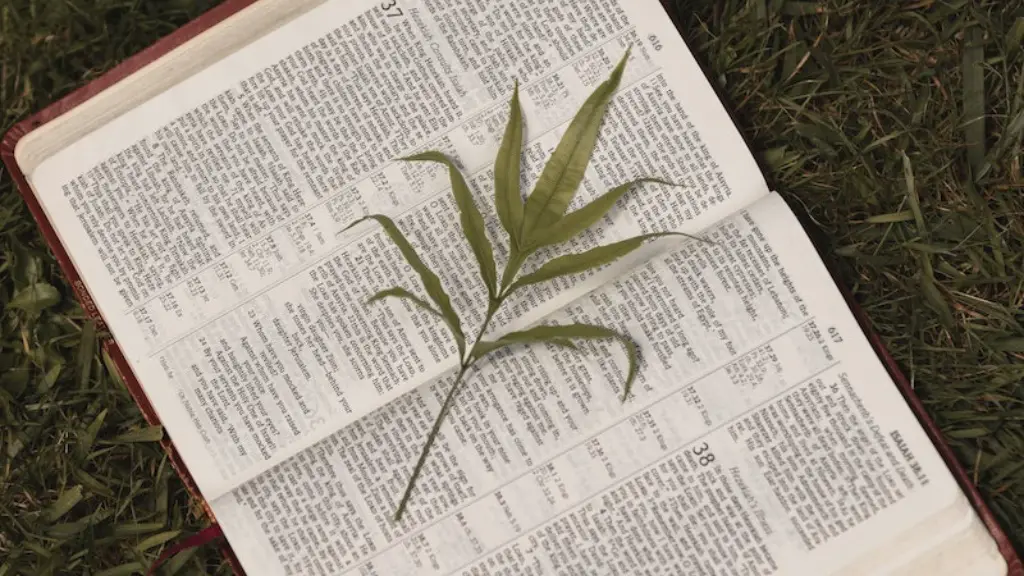 What is the five fold ministry in the bible?