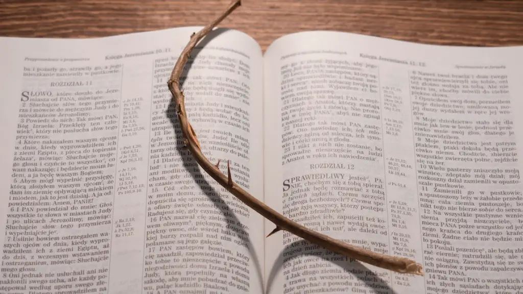 Where in the bible is abortion mentioned?