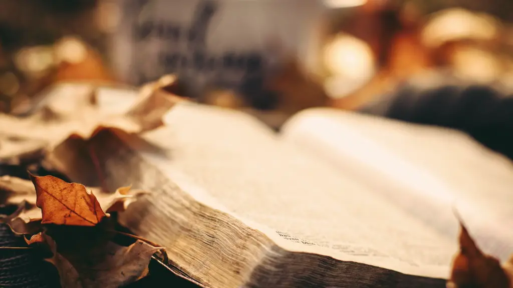 How Many Wives Did Abraham Have In The Bible