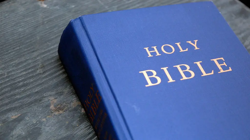 How did david in the bible die?