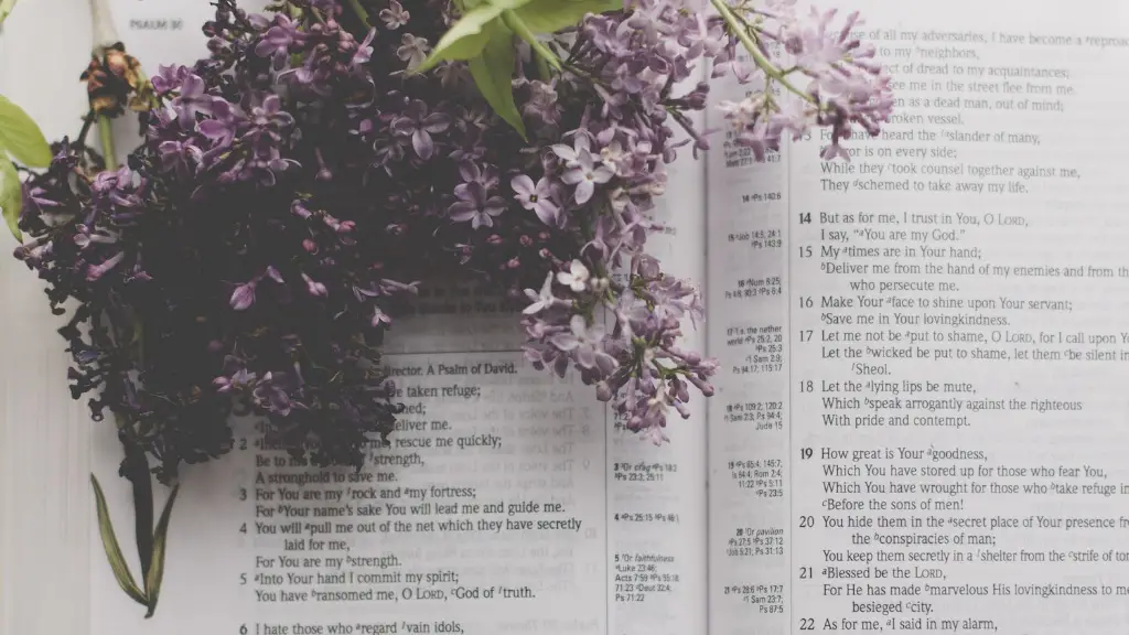 What are the 7 feasts in the bible?