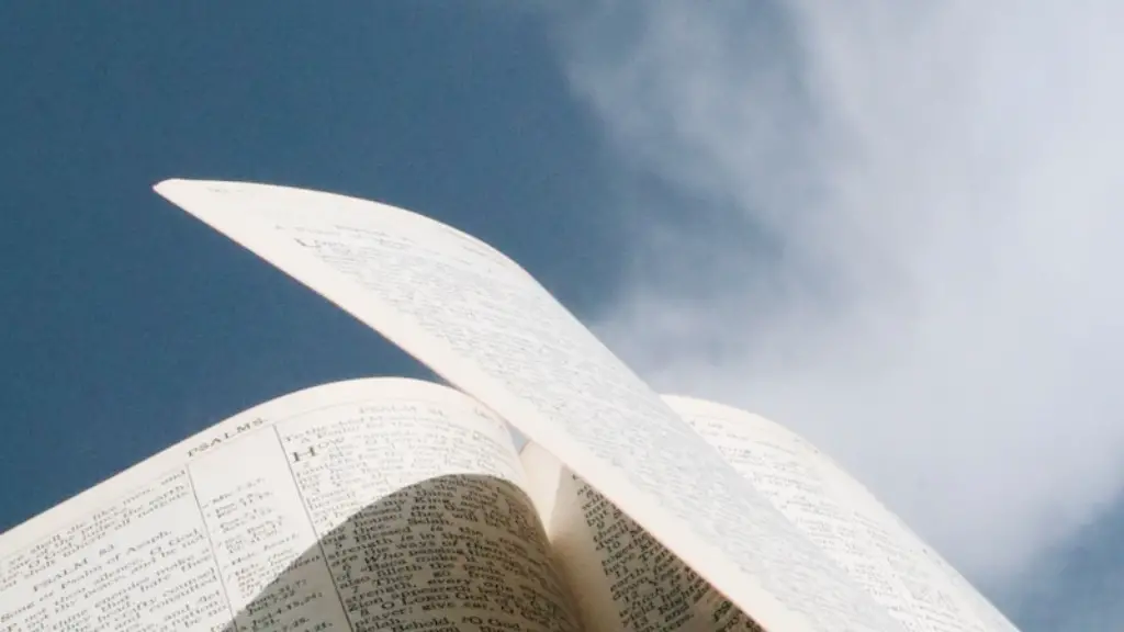 Who Is Jacob’s Twin In The Bible