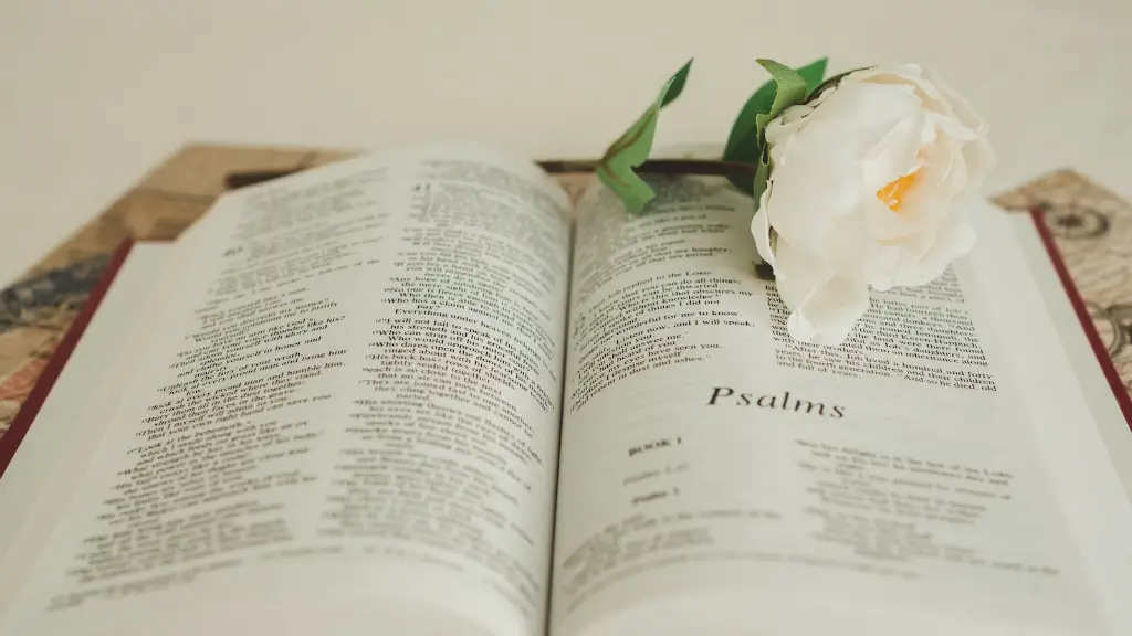 What Does Rehoboth Mean In The Bible