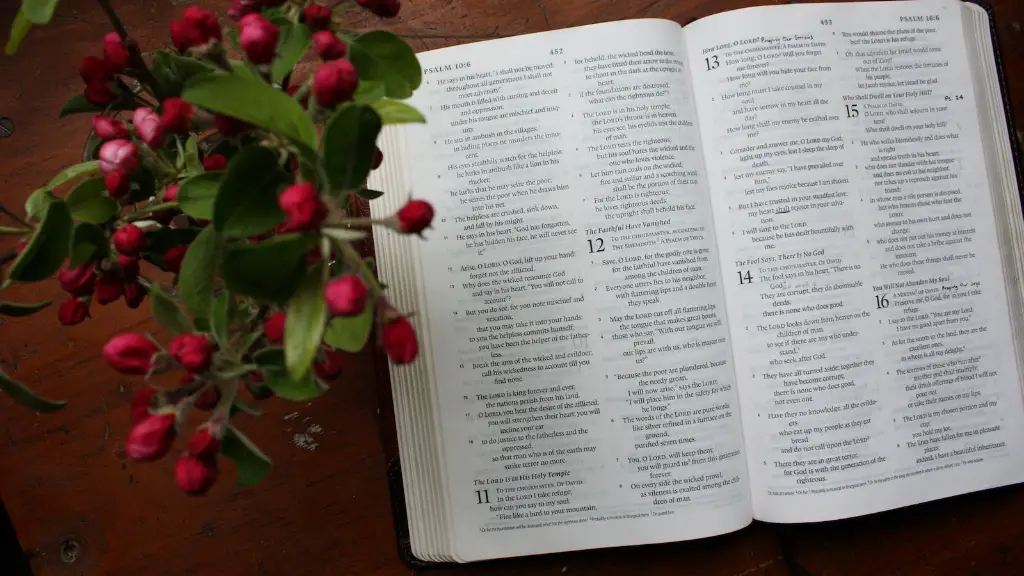 What Does The Bible Say About Oral Sex