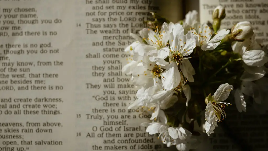 Where in the bible is the story of easter?