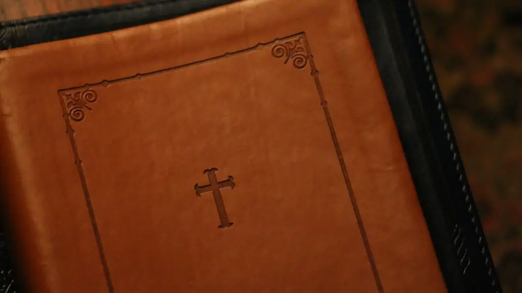 How Tall Was King David In The Bible