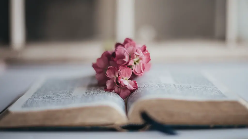What Does 11:11 Mean In The Bible