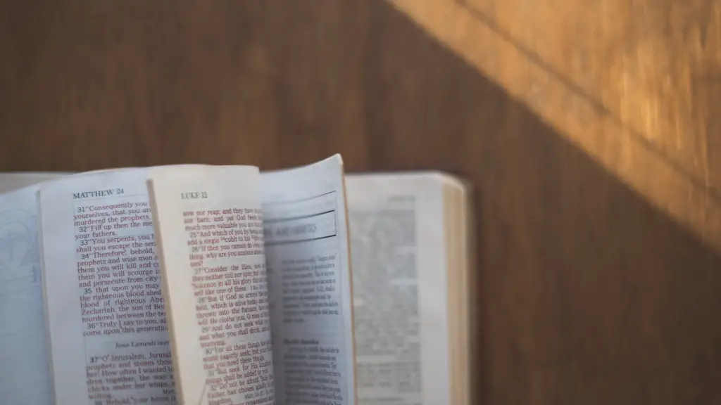 Did Solomon Marry The Queen Of Sheba In The Bible