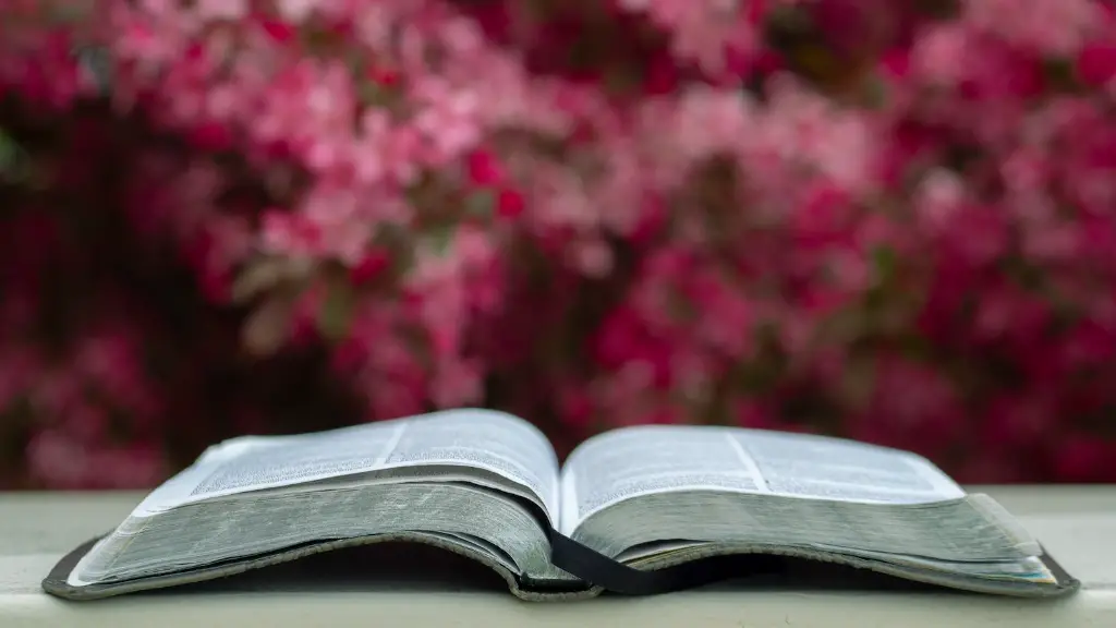 What Are Tares In The Bible