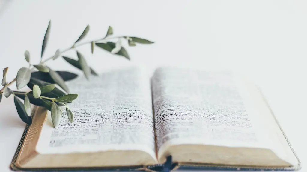 Who Is Seir In The Bible