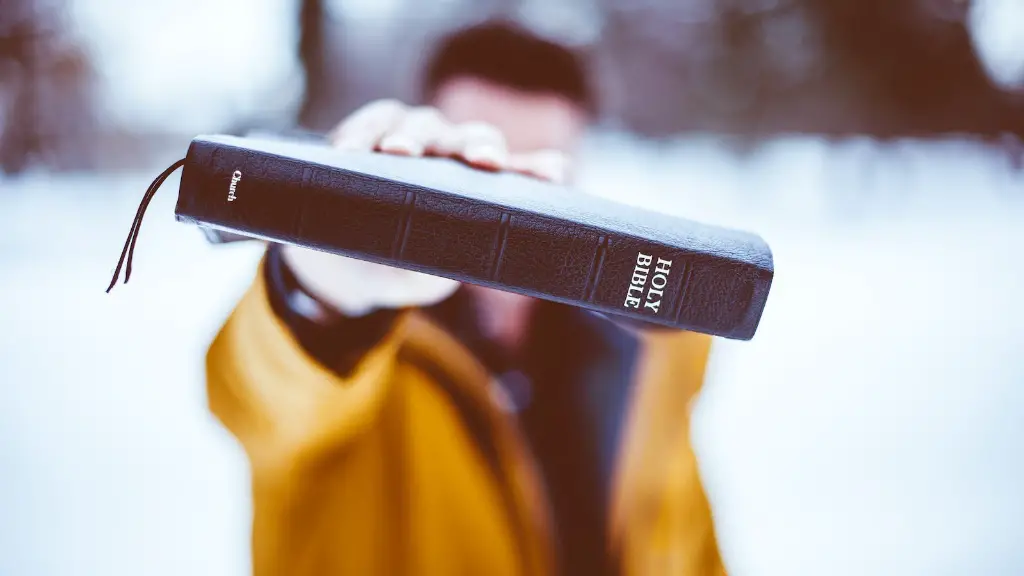 Is fish considered meat in the bible?