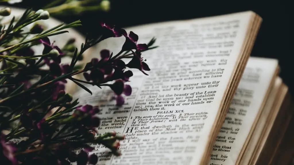 When was the bible translated to latin?