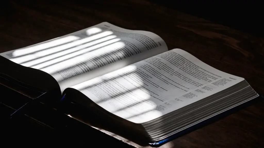 What Book Is Noah In The Bible