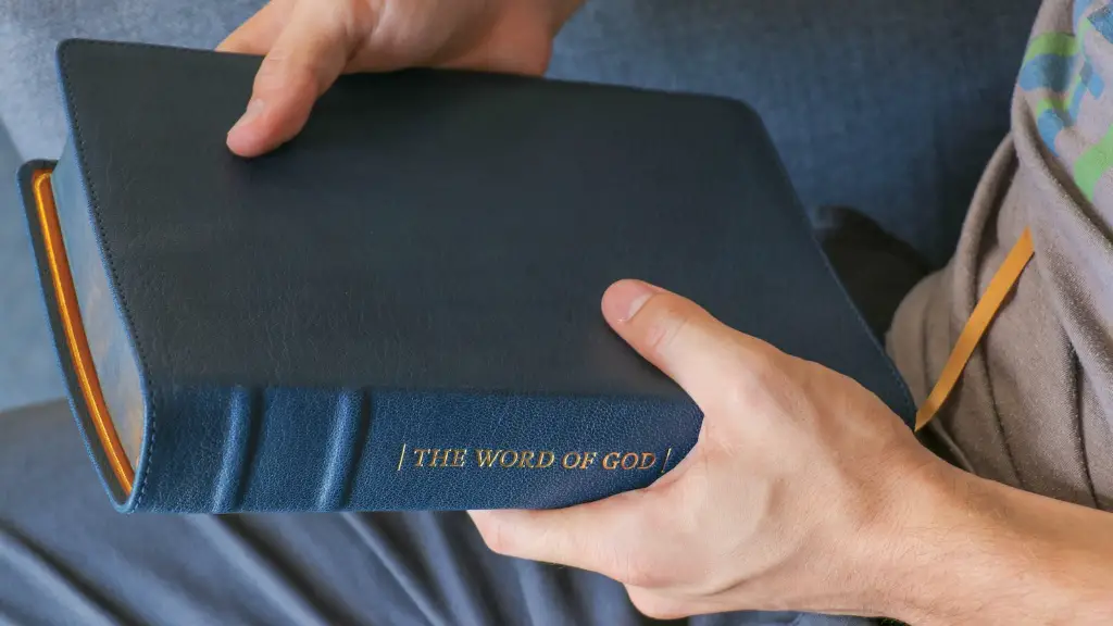 Who Wrote The Most Books In The Bible