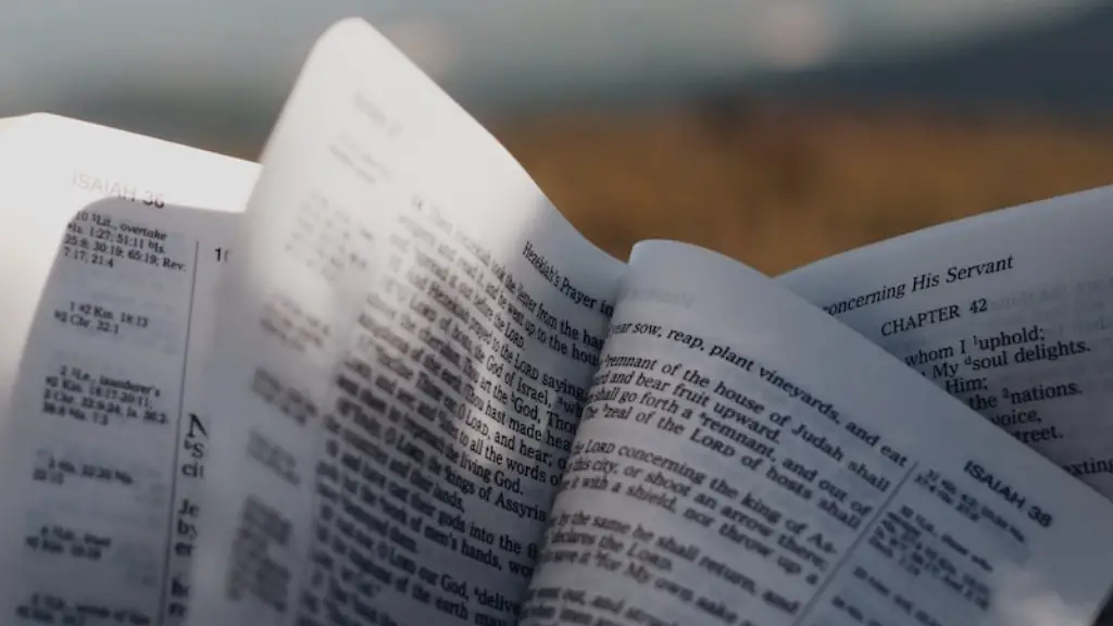 Who Turned To Salt In The Bible